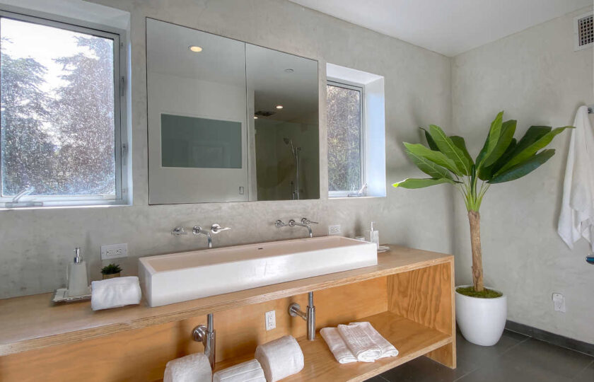 Bathroom staging with folded towels and large plant in the right corner
