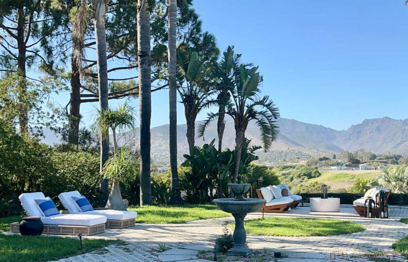 Luxury Malibu backyard staging showcasing sun loungers, stone fountain, outdoor seating, and tropical palm landscaping.